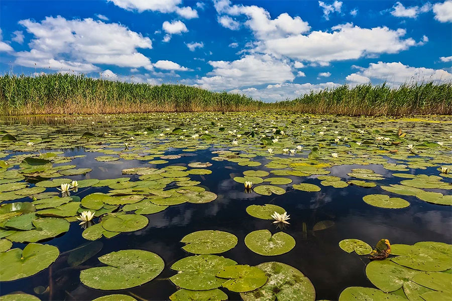 donaudelta-fur-camper-6