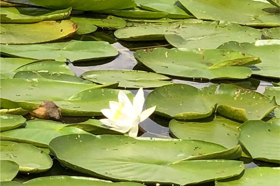 donaudelta-fur-camper