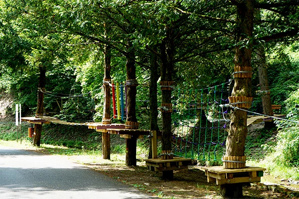 parcul-de-aventura-moneasa